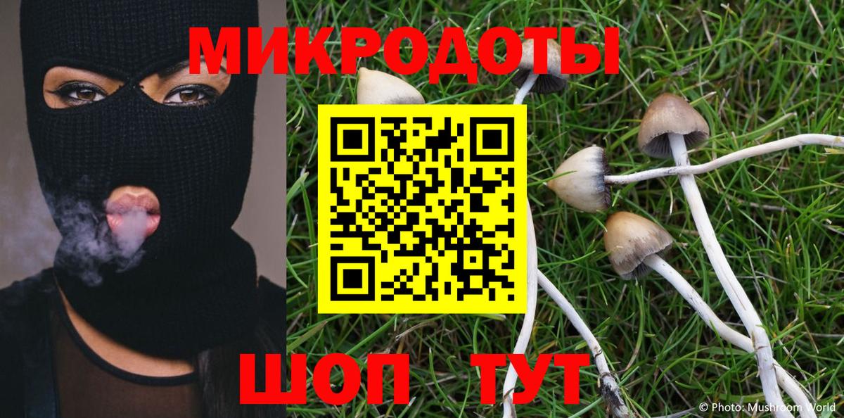 Ивантеевка  купить наркотики цена  Галлюциногенные грибы прущие грибы  Вход с VPN  Псилоцибиновые грибы Magic Shrooms 